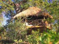 Tarangire Treetops - Tanzania Adventure Safaris